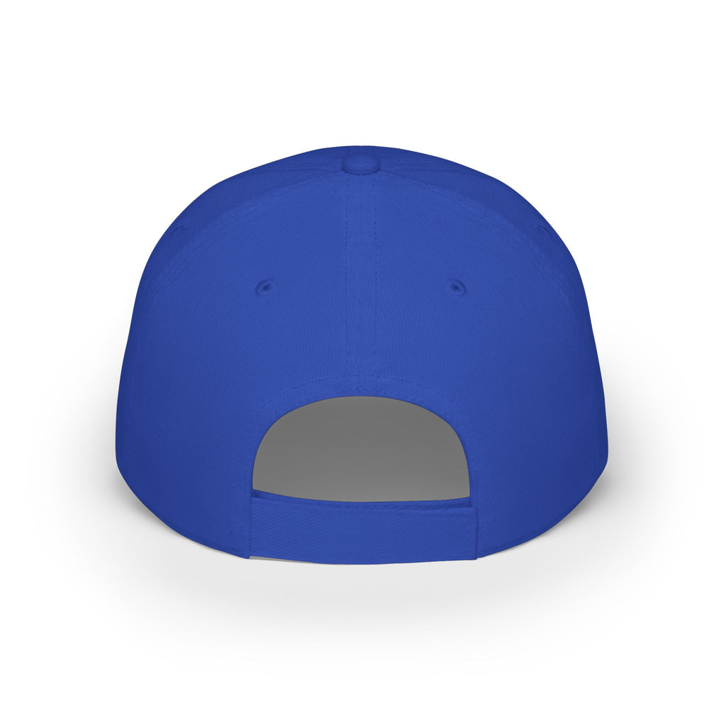 Sad Steve's Taxidermy and Ice Cream - Low Profile Baseball Cap