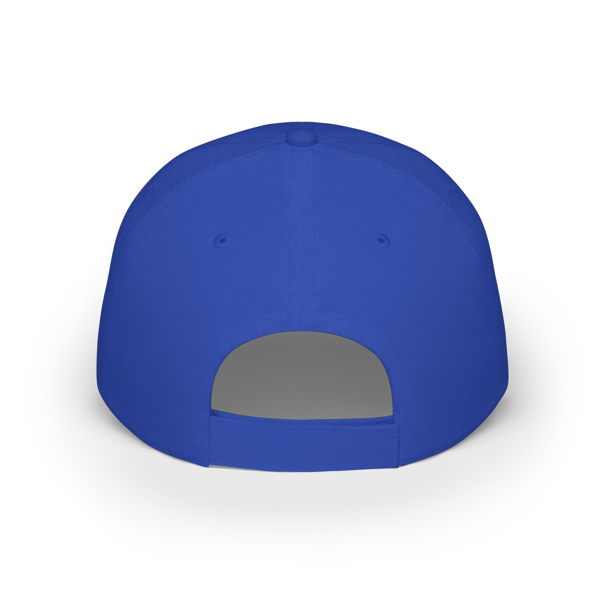 Sad Steve's Taxidermy and Ice Cream - Low Profile Baseball Cap