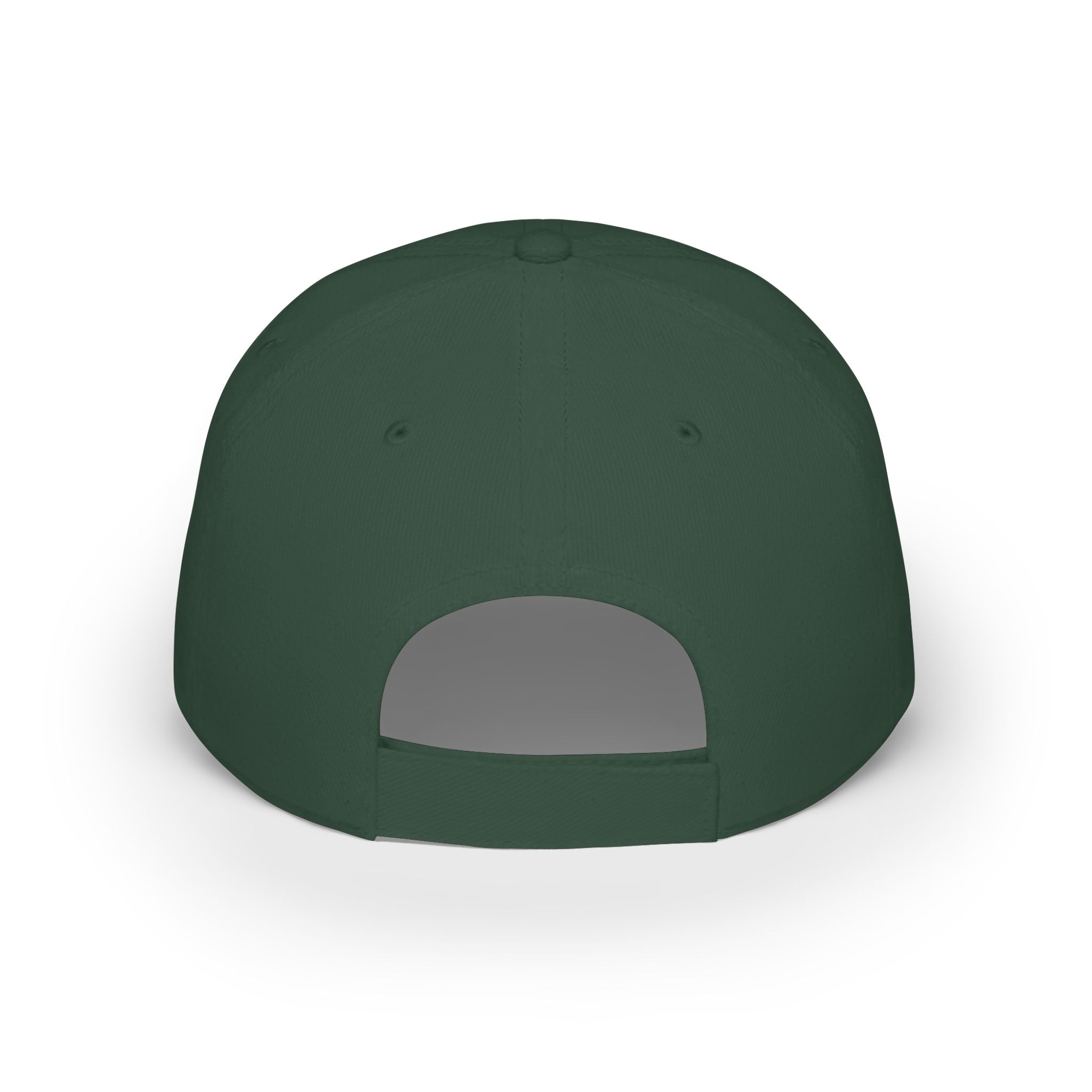 Sad Steve's Taxidermy and Ice Cream - Low Profile Baseball Cap