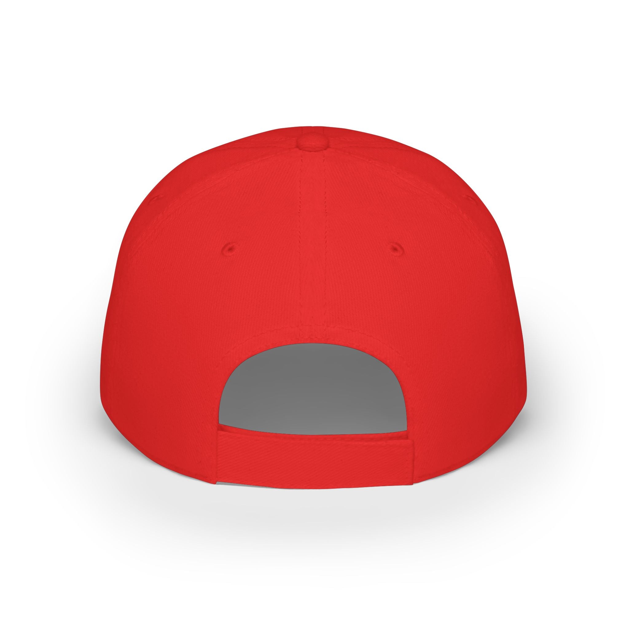 Sad Steve's Taxidermy and Ice Cream - Low Profile Baseball Cap