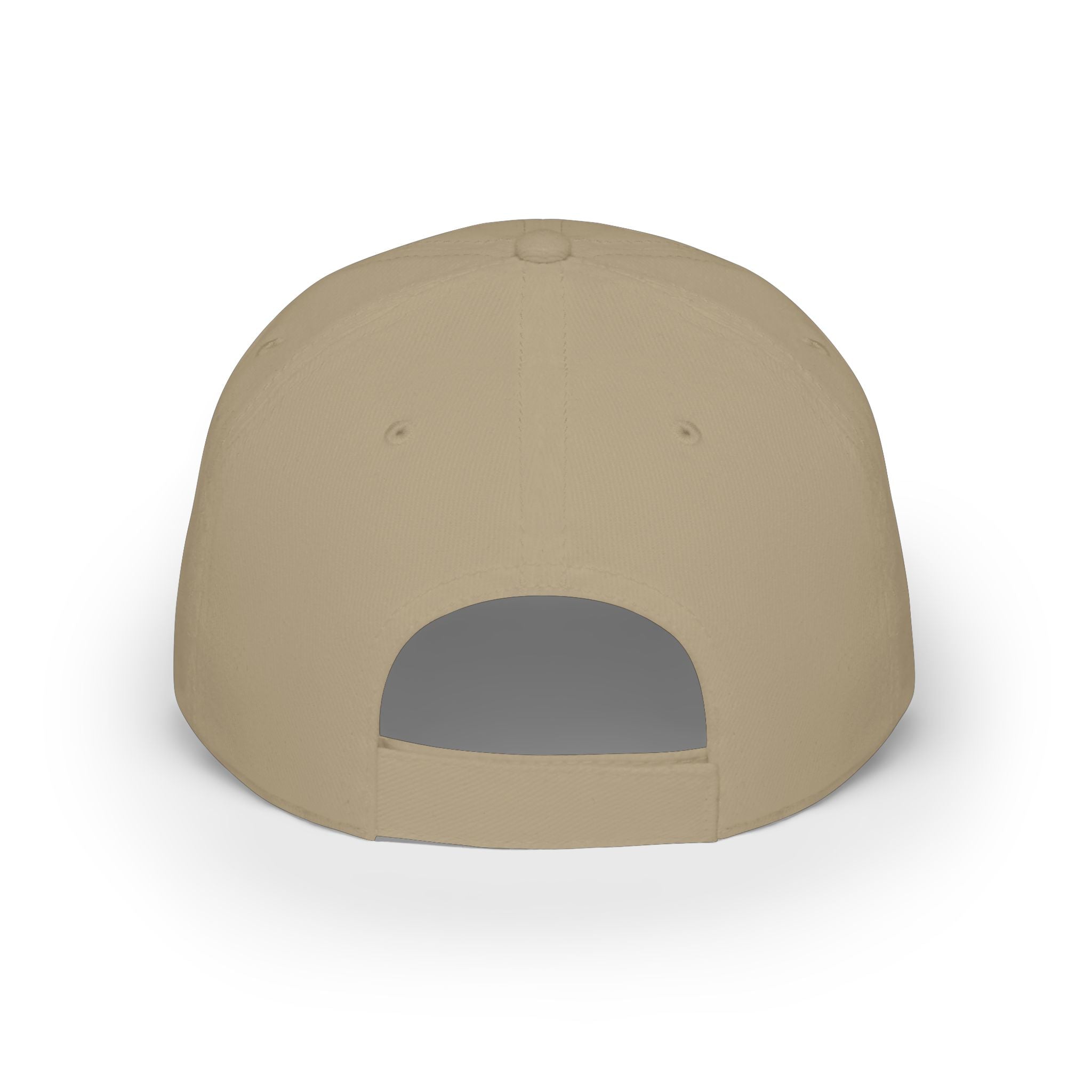 Sad Steve's Taxidermy and Ice Cream - Low Profile Baseball Cap
